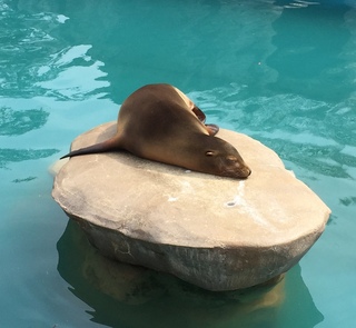 東山動物園(=^・^=)