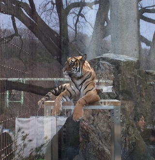 東山動物園(=^・^=)