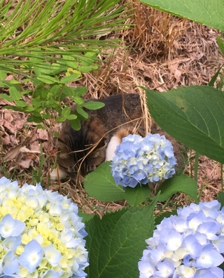 都田公園でブランコ♪