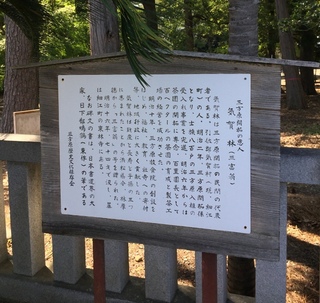 三方原神社でセミ取り(*ω*)