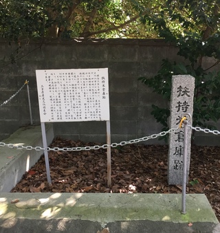 三方原神社でセミ取り(*ω*)