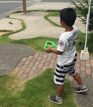 夏休みと言えば・・・(=ﾟωﾟ)ﾉ