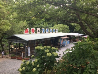 釣り堀で坊主(≧▽≦)