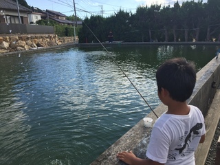 釣り堀で坊主(≧▽≦)