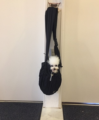 みの虫リップちん(=_=)
