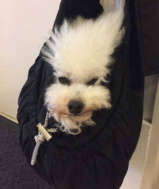 みの虫リップちん(=_=)