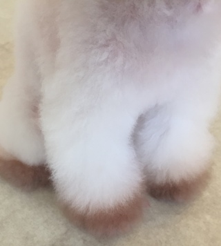 素敵にカラーリング(´艸｀*)