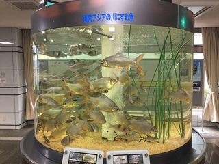 ぎょぎょランド♪