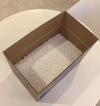 ハム太くん☆初プール