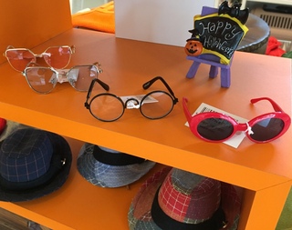 D＆Cサングラス☆入荷