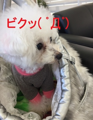 リップちん病院へ(=_=)