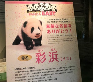 アドベンチャーワールドへ♪