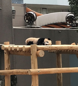 アドベンチャーワールドへ♪