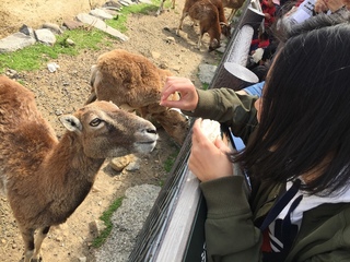 アドベンチャーワールドへ♪