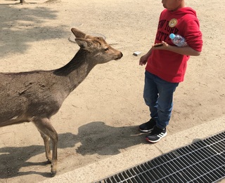 奈良の大仏様(/・ω・)/