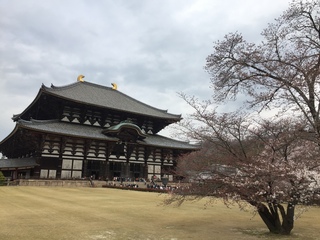 奈良の大仏様(/・ω・)/