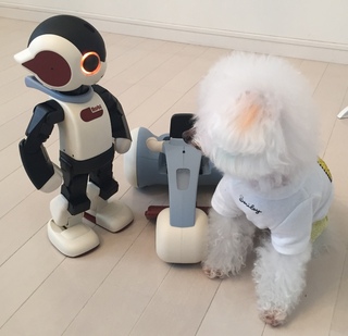 Robiくんがお家にやってきました(*ω*)