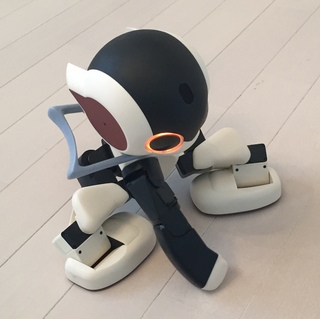 Robiくんがお家にやってきました(*ω*)