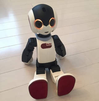 Robiくんがお家にやってきました(*ω*)