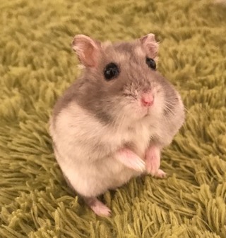 今年もありがとうございました。