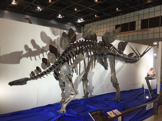 恐竜展に行ってきました(*‘ω‘ *)