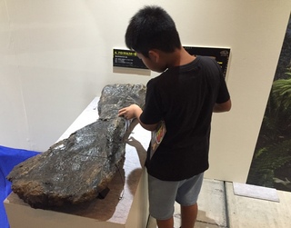 恐竜展に行ってきました(*‘ω‘ *)