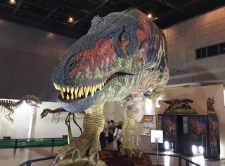 恐竜展に行ってきました(*‘ω‘ *)