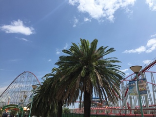 長島アウトレットでお買い物♪