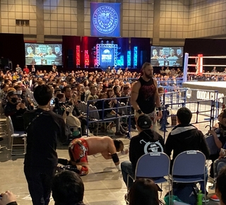 またですが、プロレス観戦(´艸｀*)