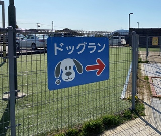 久しぶりのお散歩♪