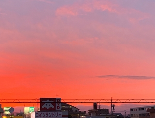 綺麗な夕日。