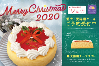 クリスマスケーキ☆ご予約受付中