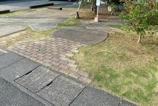 ５厘で芝刈り(/・ω・)/