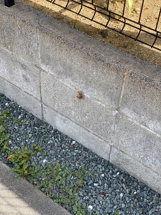 夏到来☀