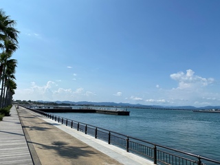 久しぶりの海釣り♪
