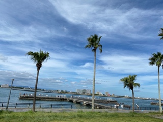 またまた、海釣り公園へ♪