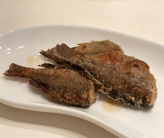 またまた、海釣り公園へ♪