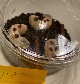 幼虫の？バレンタインチョコ(/ω＼)