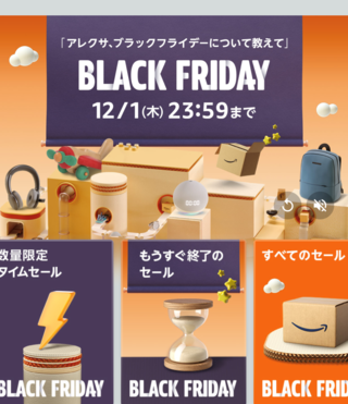 ブラックフライデー(/・ω・)/