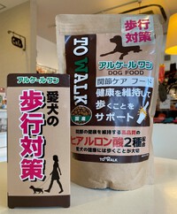 アルケールワン☆無料お試しキャンペーン！
