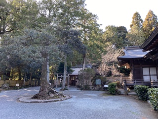 井伊谷宮で御祈祷(*^-^*)