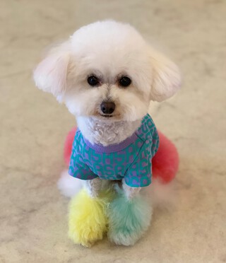 GW期間中の営業のお知らせ☆
