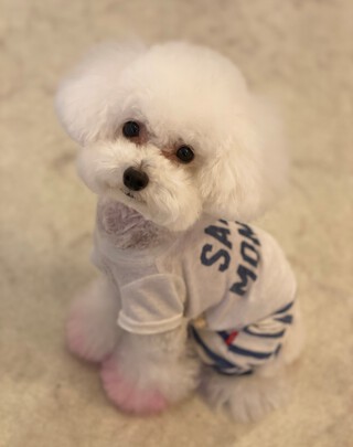 ルージュちゃんのお誕生日♪