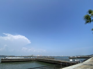 海釣り公園(/・ω・)/