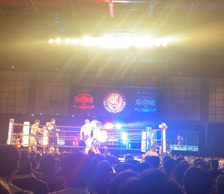 今年の夏は新日本プロレス(￣Д￣)ﾉ