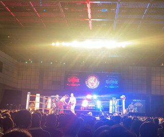 今年の夏は新日本プロレス(￣Д￣)ﾉ