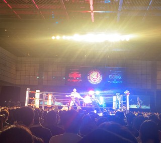 今年の夏は新日本プロレス(￣Д￣)ﾉ