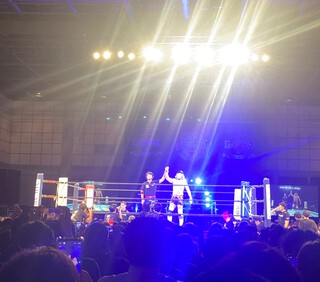 今年の夏は新日本プロレス(￣Д￣)ﾉ