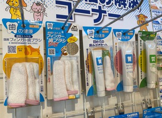 デンタルコーナー♪