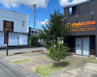 まだまだ伸びますね(*´Д｀)